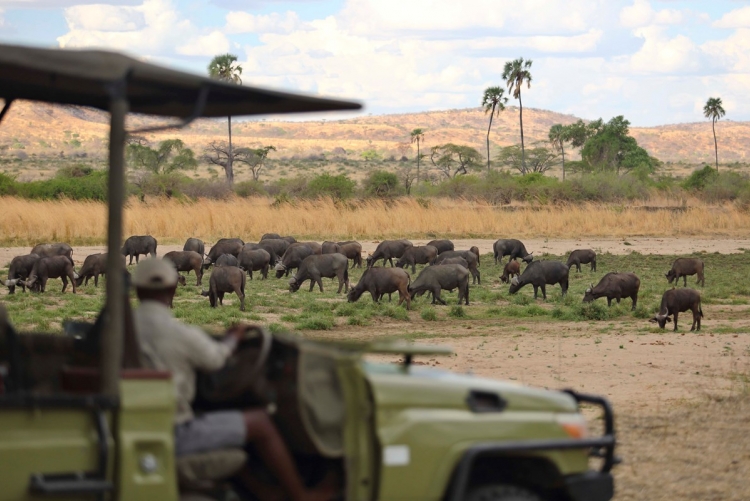 Safari à Ruaha à Jabali Ridge - Safari en Tanzanie en camp de luxe Asilia