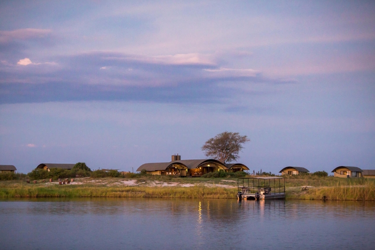Voyage à Chobe au Botswana