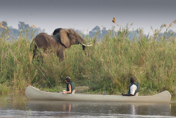 Safari en Zambie au Lower Zambezi à Baines river camp