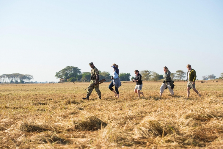 Safair à pied en Zambie