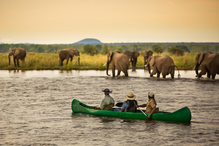 Safari en canoé au Lower Zambezi en Zambie