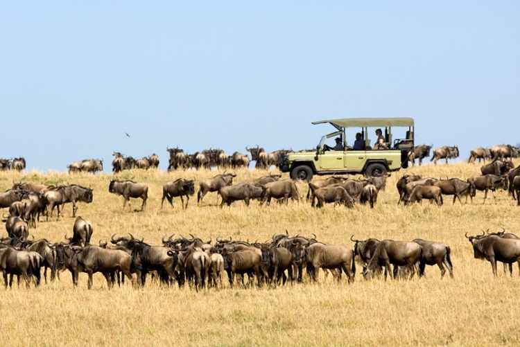 Safari en camps de toile au Serengeti
