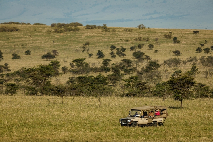Safari à Ol Kinyei Conservancy, Masai Mara, Kenya