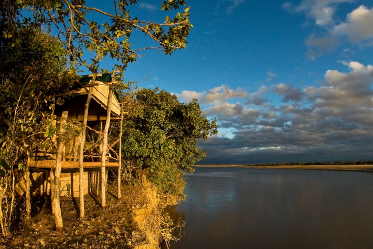 Safari à Island Bush Camp en Zambie