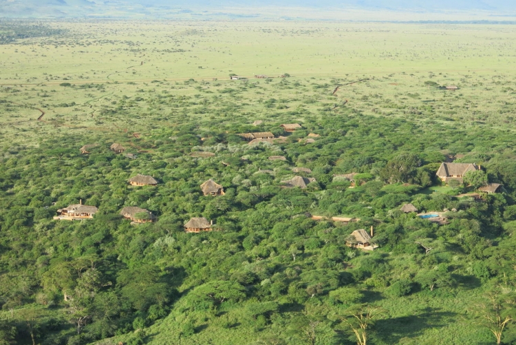 Safari sur mesure Kenya