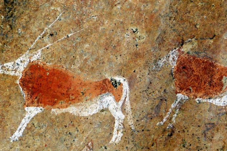 Peintures rupestres de Namibie