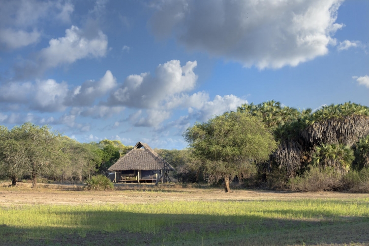 Safari Tanzanie les plus beaux lodges