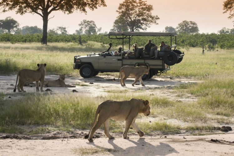 Safari en 4x4 au parc de Hwange, voyage Zimbabwe