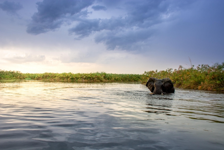 Voyage Delta de l'Okavango, Botswana