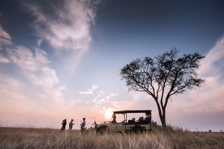Safari au coucher du soleil en véhicule électrique au parc de Kafue, en Zambie