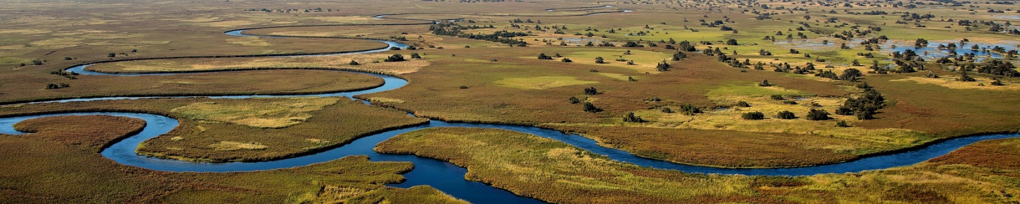Safari au delta de l'Okavango (Botswana)
