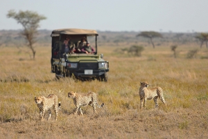 Safari Afrique agence de voyage 