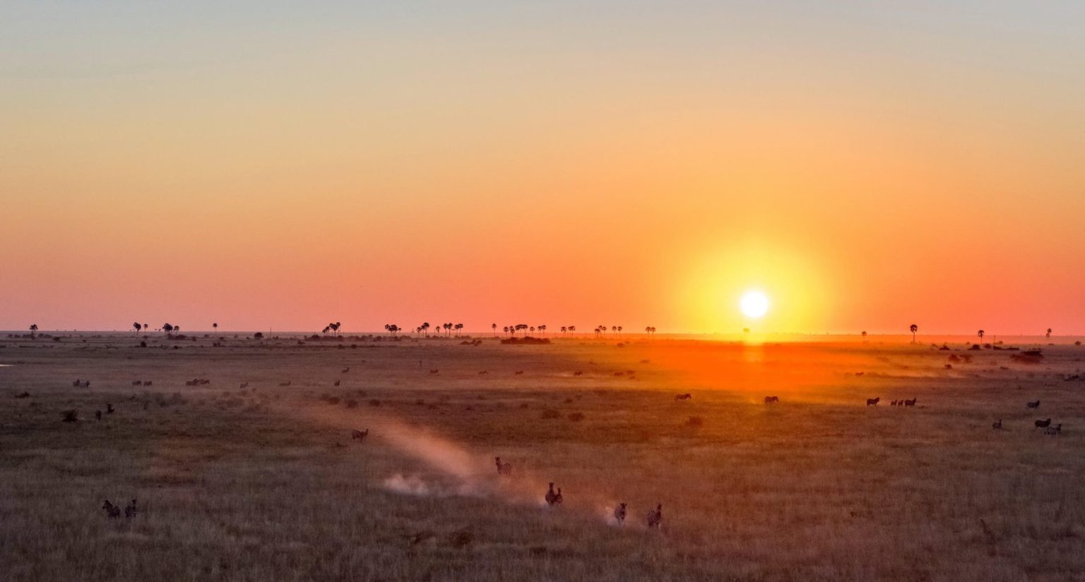 Coucher de soleil au Makgadikgadi (Kalahari, Botswana)