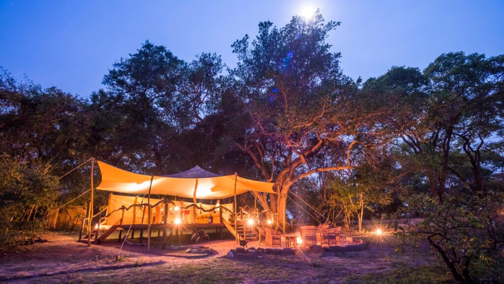 Safari Zambie, Afrique, parc de Kafue, voyage hors radars, nature sauvage, découverte de la faune, safari exclusif et rare, berceau des safaris, camps intime, loin de la foule, séjour sur-mesure