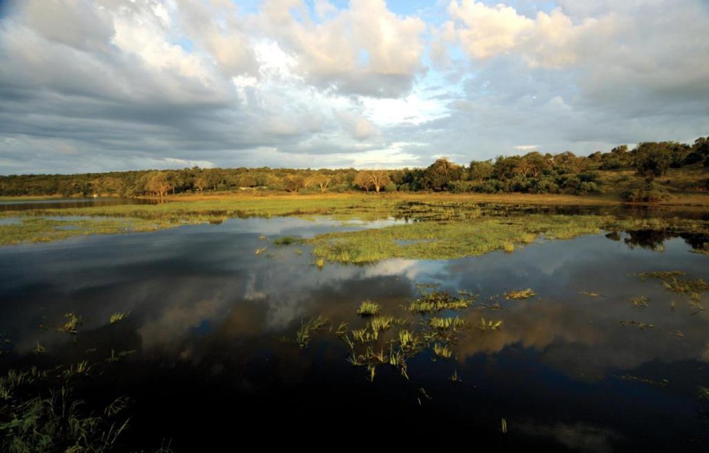 Safari Botswana, voyage Afrique, parc de Chobe, faune riche, safaris spectaculaires, découverte des éléphants, séjour sur-mesure