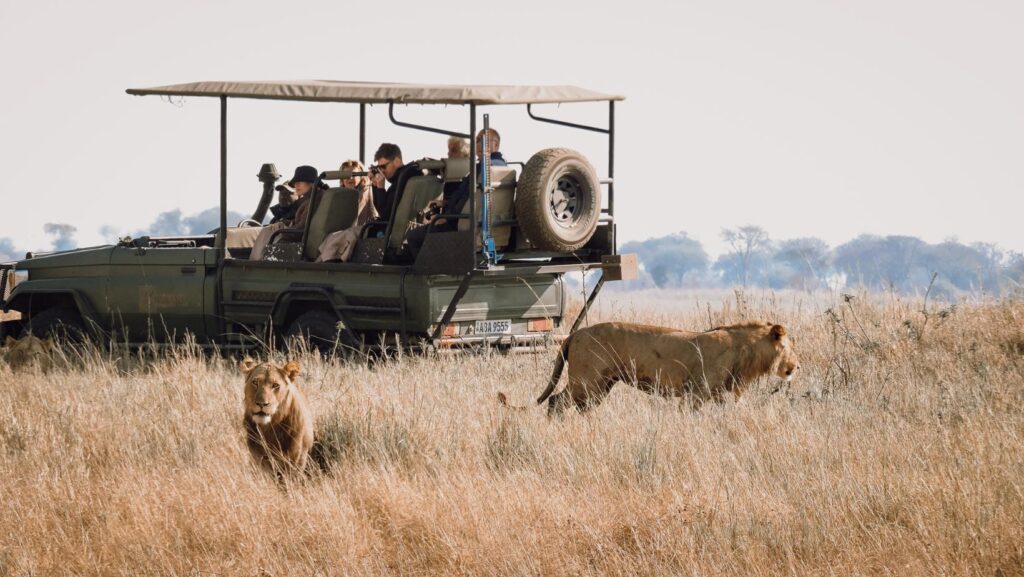 Safari Zambie, Afrique, parc de Kafue, voyage hors radars, nature sauvage, découverte de la faune, safari exclusif et rare, berceau des safaris, camps intime, loin de la foule, séjour sur-mesure