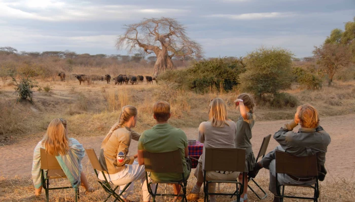 Safari 4x4 nature drive à pieds parc national de Ruaha Safari de luxe Tanzanie en lodge privé LABA