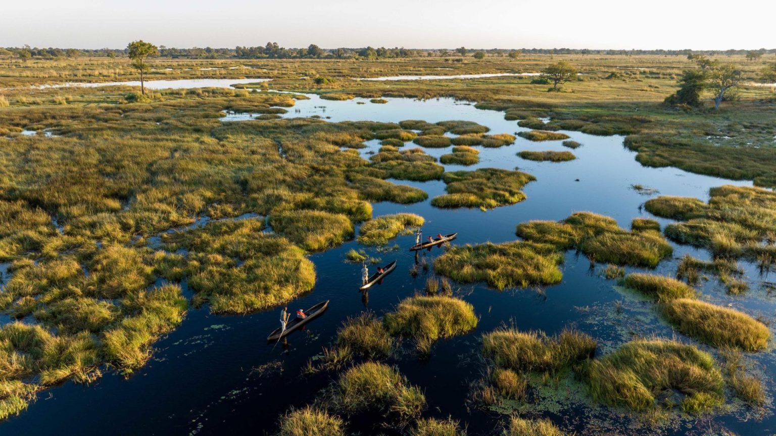 Safari Delta de l'Okavango - Voyage Botswana